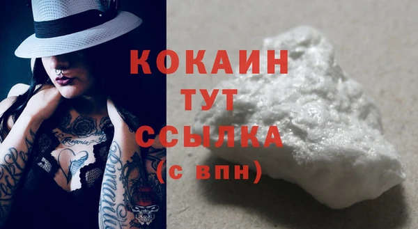 индика Кулебаки