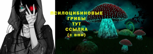 индика Кулебаки