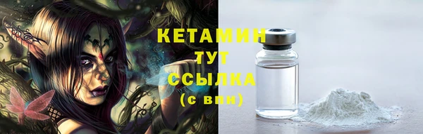 индика Кулебаки