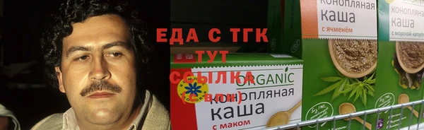 индика Кулебаки