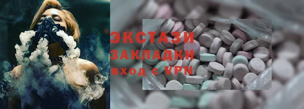 индика Кулебаки