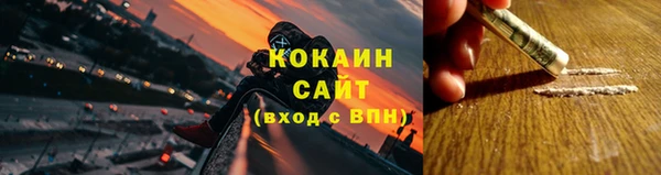 индика Кулебаки