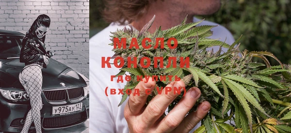 индика Кулебаки