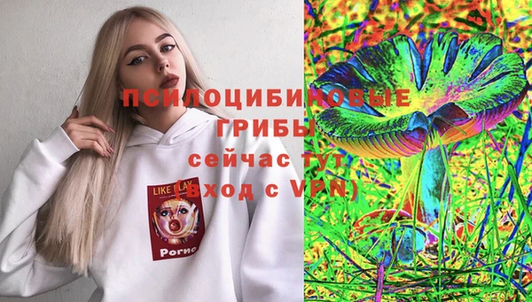 герыч Куйбышев