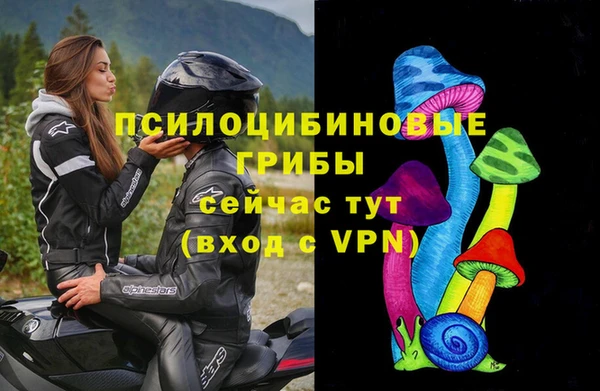 индика Кулебаки