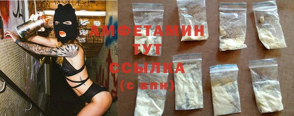 индика Кулебаки