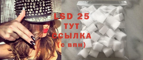 индика Кулебаки