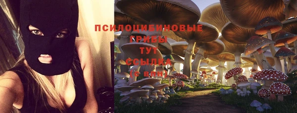 индика Кулебаки