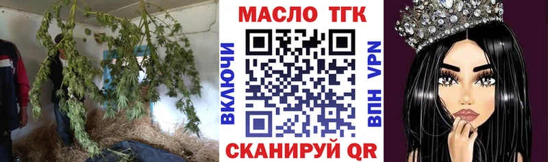 Купить закладки  Нестеров  ТГК THC oil 