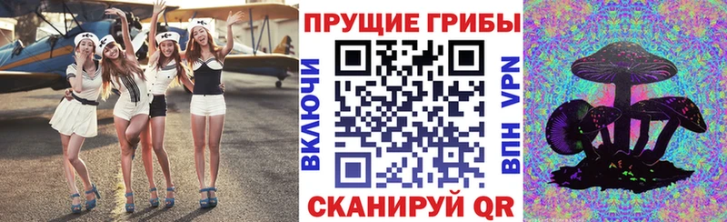 Галлюциногенные грибы Psilocybe  Купить где  Нестеров 