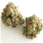 Шишки "White Widow"  (Белая вдова)  Гидропоника -  Бошка VHQ в Нестерове